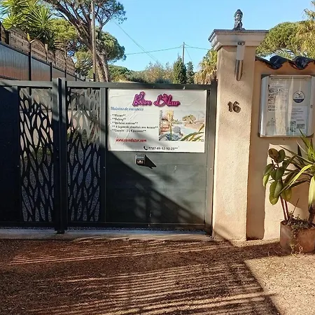 Detente Au Reve D'azur, 1 Chambre, A Pied , Piscine Partagee, Bbq Draps Inclus Homestay