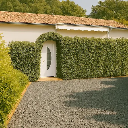 Detente Au Reve D'azur, 1 Chambre, A Pied , Piscine Partagee, Bbq Draps Inclus Homestay *